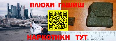 сатива Новодвинск
