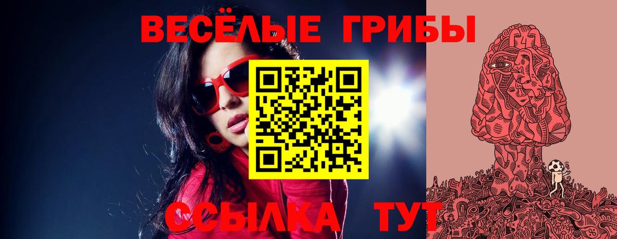 Псилоцибиновые грибы Psilocybe  Псилоцибиновые грибы мухоморы  Вход с VPN  купить закладку  Туймазы 